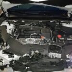 Acura TLX 2018-2020 in a junkyard in the USA