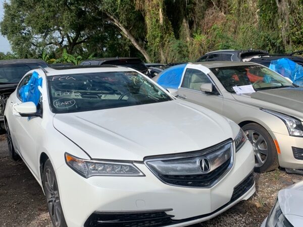 Acura TLX 2014-2017 in a junkyard in the USA Acura