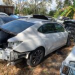 Acura TLX 2018-2020 in a junkyard in the USA Acura