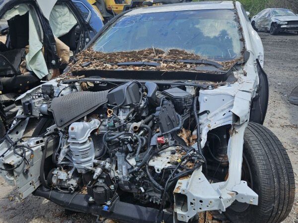 Acura TLX 2018-2020 in a junkyard in the USA Acura