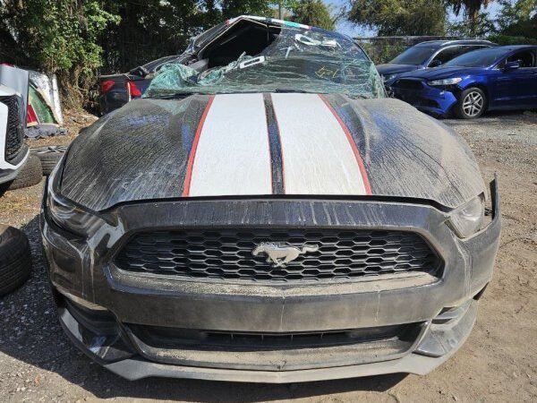 Ford Mustang 2015-2017 in a junkyard in the USA Ford