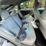 Toyota Prius 2010-2011 in a junkyard in the USA