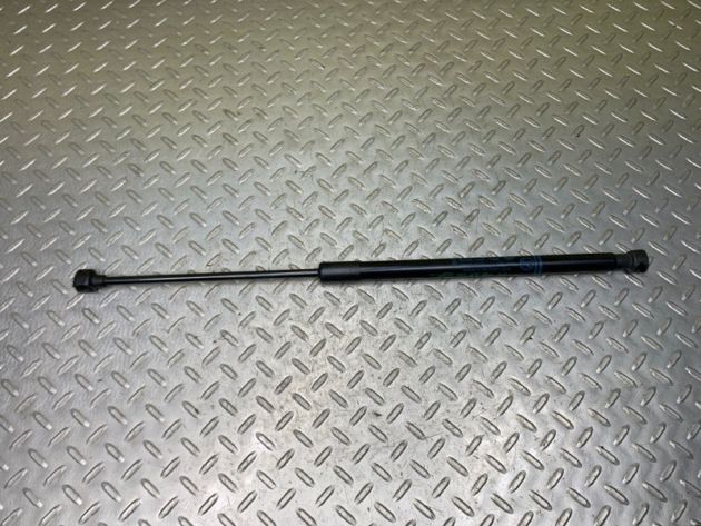 18 19 20 21 Ford Ecosport Rear Trunk Tailgate Lift Shock Strut OEM GN15N400A12AB