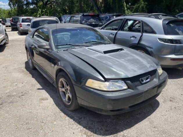 1999 2000 2001 2002 2003 2004 Ford Mustang Black Horn Signal OEM