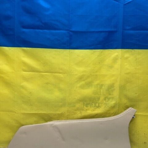 07 08 09 10 11 12 Lexus LS460 Front Left Driver Side Console Trim Panel Cove OEM