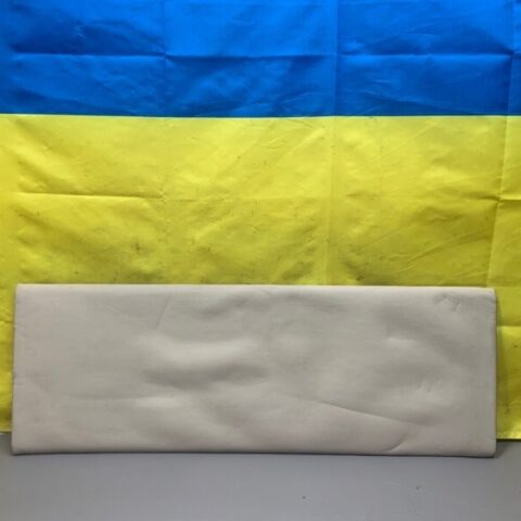 05 06 07 08 09 10 Bentley Continental GT Molding Center Bow Panel Trim OEM