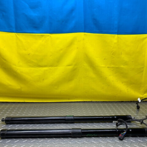 11 12 13 14 Porsche Cayenne Rear Tailgate Trunk Lift Support Strut Shock Set OEM