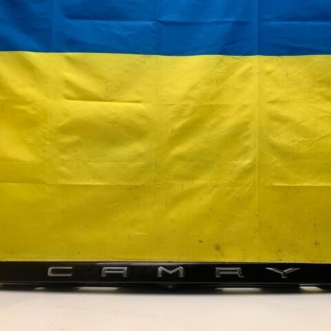 2018 2019 2020 Toyota Camry Tailgate Trim With Camera & Emblem OEM 867B0-06040