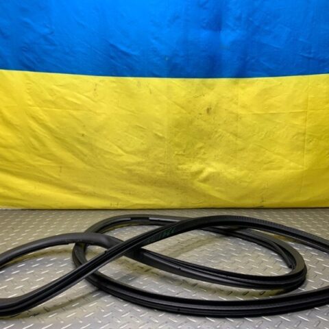 05 06 07 08 09 10 11 Bentley Continental Flying Spur Rear Right Door Seal OEM