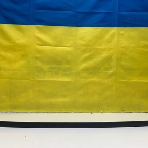 15 16 17 18 BMW X6 X6M F16 Windshield-Side Molding Driver Left Side OEM