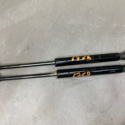 15 16 17 18 Range Rover Evoque Right & Left Hood  Shock Strut  Cylinder SET PAIR