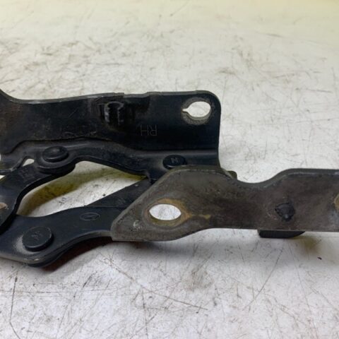 2008 08 Hyundai Sonata Front Hood Hinger Right Passenger Side OEM 79120-3K000