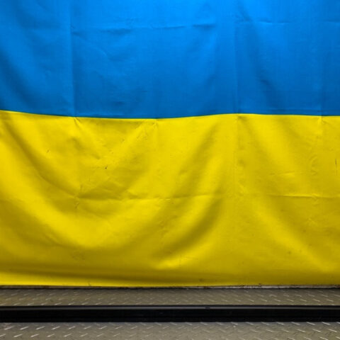 16 17 18 19 20 cxMazda CX-9 Front Right Door Window Inner Weathership Seal OEM