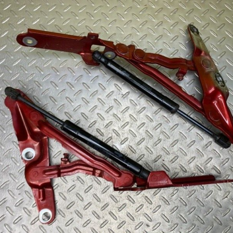 16 15 14 13 Lincoln MKS Trunk Lid Hinge Hinges w/ Shock Shocks Set OEM