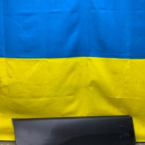 19 20 21 Ford Ecosport Rear Right Side Door Lower Molding Trim OEM GN15N254A76AA