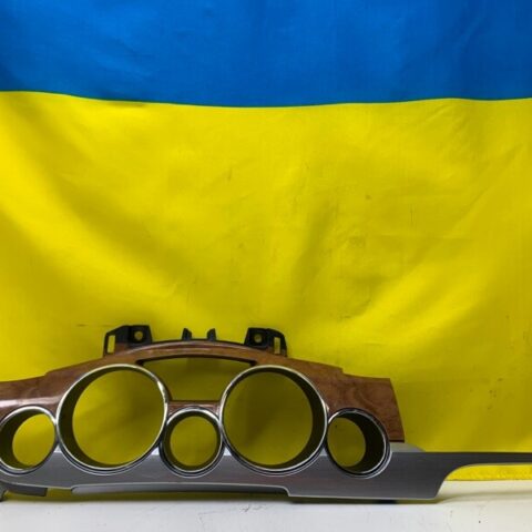 2008-2012 Buick Enclave Speedometer Instrument Panel Dash-Gauge Bezel OEM