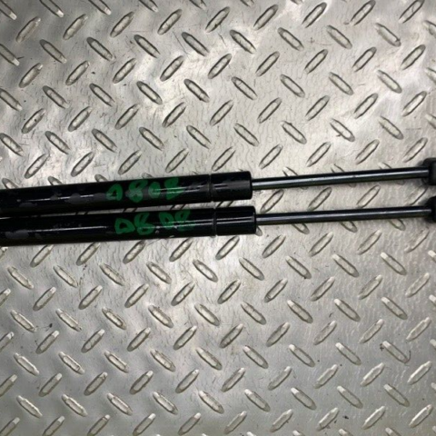 07 08 09 10 11 12 13 Nissan Armada Right & Left Hood Shock/Lift OEM 654707S000