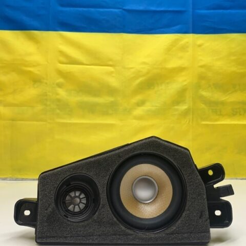 16 17 18 19 BMW X6 M F16 Rear Left Door Sound Speaker OEM