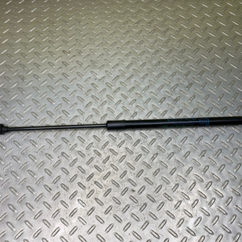 18 19 20 21 Ford Ecosport Rear Trunk Tailgate Lift Shock Strut OEM GN15N400A12AB