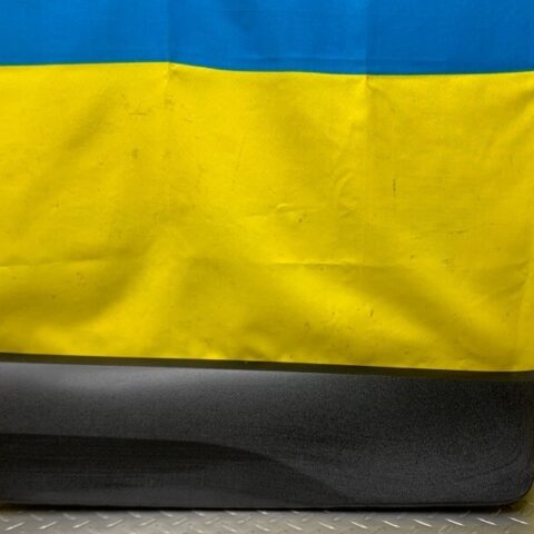 19 20 21 Ford Ecosport Rear Left Side Door Lower Molding Trim OEM GN15N254A77A