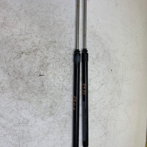 11 12 13 14 15 Lexus RX350 Left And Right Trunk Liftgate Support Struts OEM