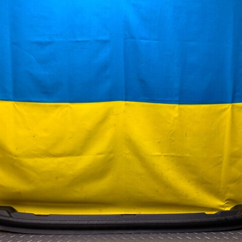 19 20 21 Ford Ecosport Rear Trunk Sill Scuff Plate Trim Cover OEM GN15A40352EBW