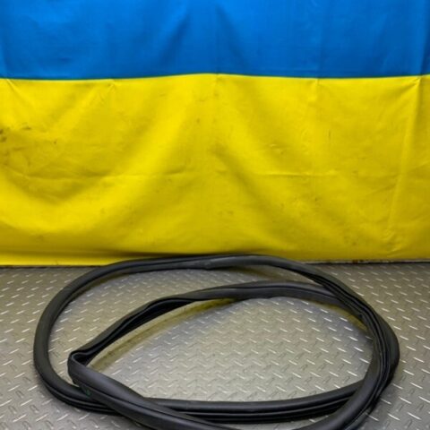 20 21 22 Cadillac CT5 Rear Left or Right Door Body Weatherstrip OEM 84728022