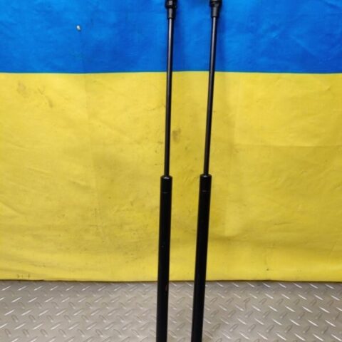 05 06 07 08 09 10 Bentley Flying Spur Hood Lift Shock Damper Set OEM 3W0823475B